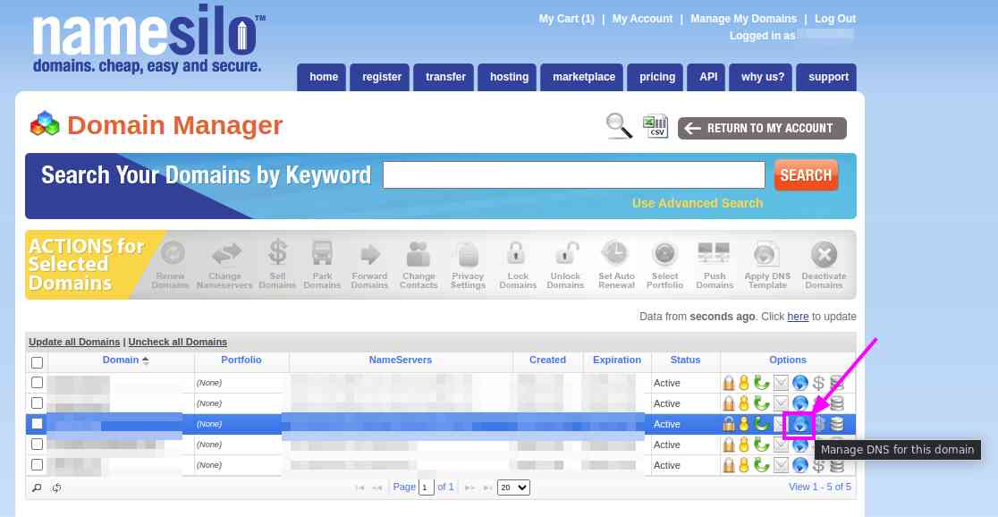 Manage DNS for this domain